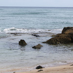 Can you find the mother and pup monk seals?