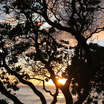 Sunset, Tuesday, July 20 at Turtle Bay.
