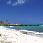 Do you see the WWII bunker emplacement?