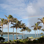 We found the pot-o-gold!