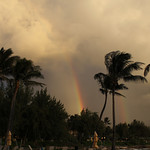 1st rainbow sighting.